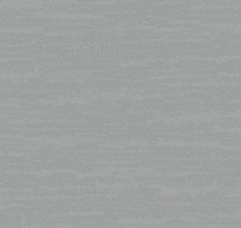 Loymina Amazonia Ins8 008 Loymina Amazonia Ins8 008